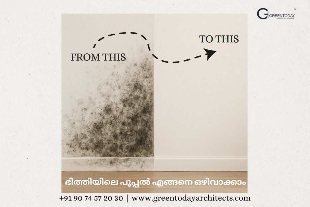ഭിത്തിയിലെ പൂപ്പൽ എങ്ങനെ ഒഴിവാക്കാം