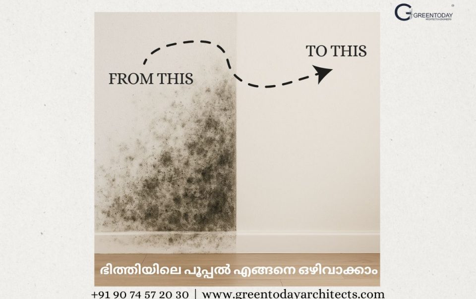 ഭിത്തിയിലെ പൂപ്പൽ എങ്ങനെ ഒഴിവാക്കാം